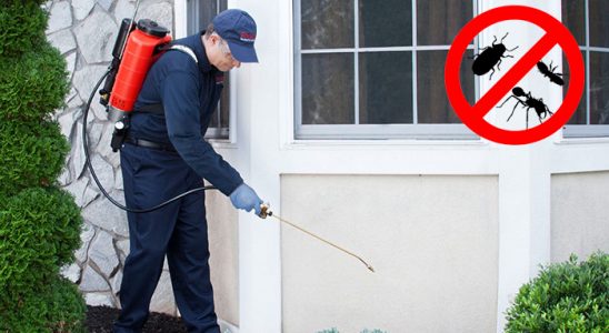 Naldöken Dezenfeksiyon böcek ilaçlama ve haşere kontrolü — ilaclama-tr.com